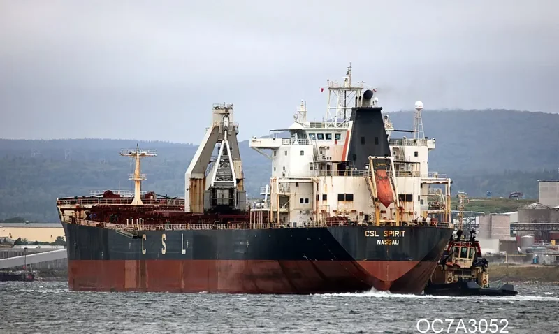 CSL SPIRIT Bulk Carrier IMO 9138111 photo 3