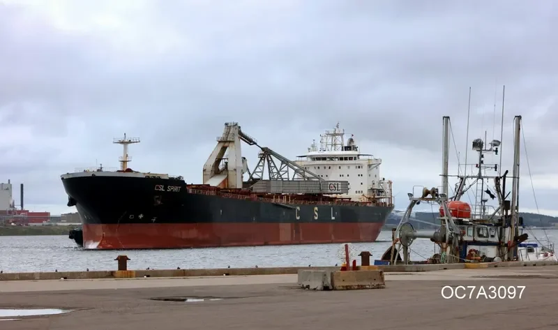 CSL SPIRIT Bulk Carrier IMO 9138111 photo 4