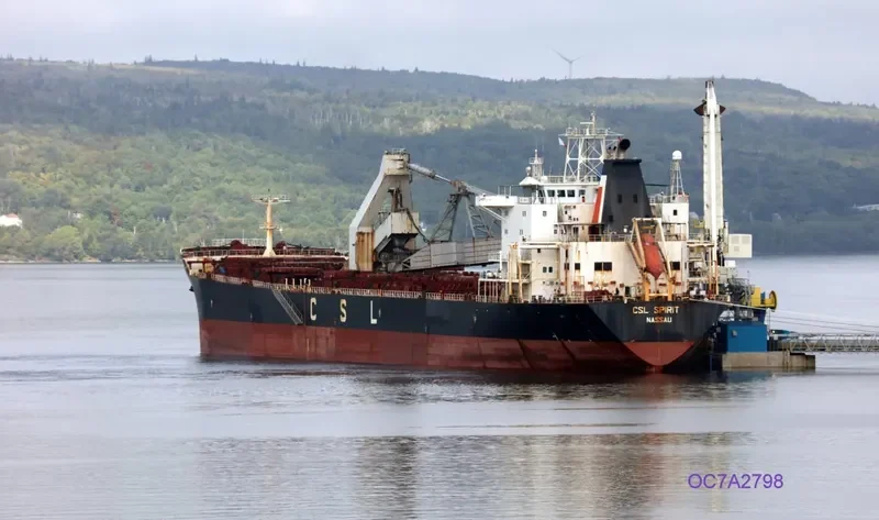 CSL SPIRIT Bulk Carrier IMO 9138111 photo 5