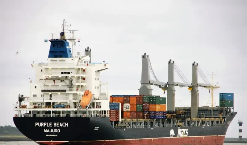 PURPLE BEACH General Cargo IMO 9138135 photo 2