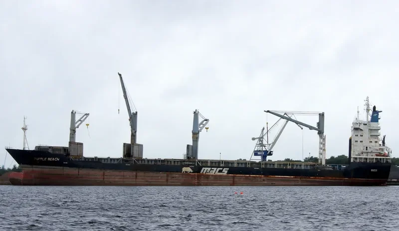 PURPLE BEACH General Cargo IMO 9138135 photo 5