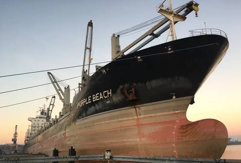 PURPLE BEACH General Cargo IMO 9138135 photo 6