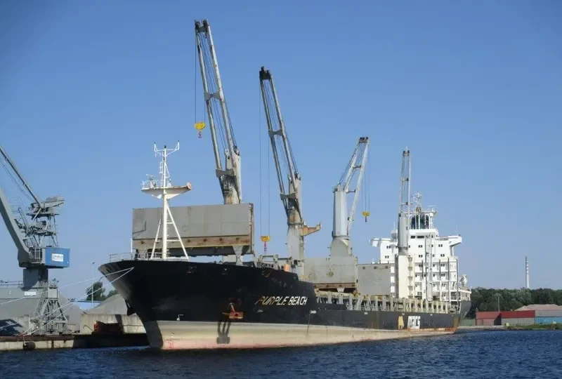 PURPLE BEACH General Cargo IMO 9138135 photo 7