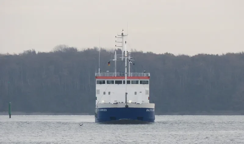BALTIC CARRIER General Cargo IMO 9138197 photo 9