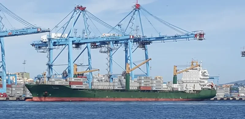 PANTHER Container Ship IMO 9138276