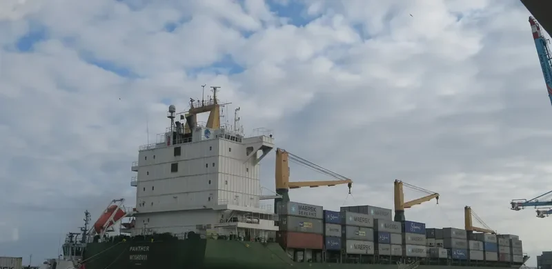 PANTHER Container Ship IMO 9138276 photo 3