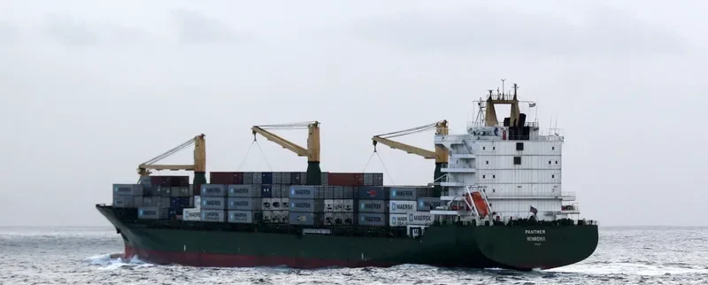 PANTHER Container Ship IMO 9138276 photo 4