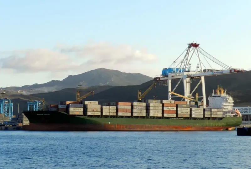 PANTHER Container Ship IMO 9138276 photo 5