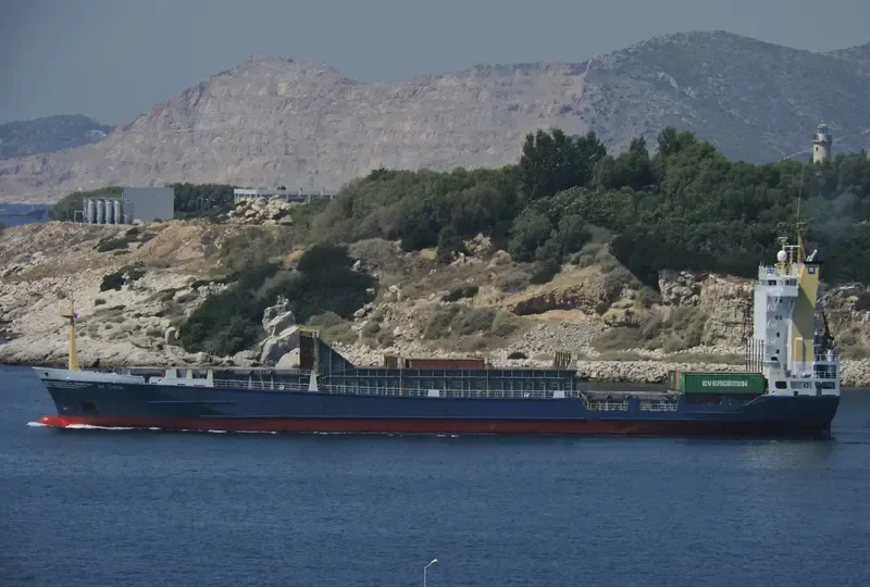 BF LUCIA Container Ship IMO 9138343 photo 2