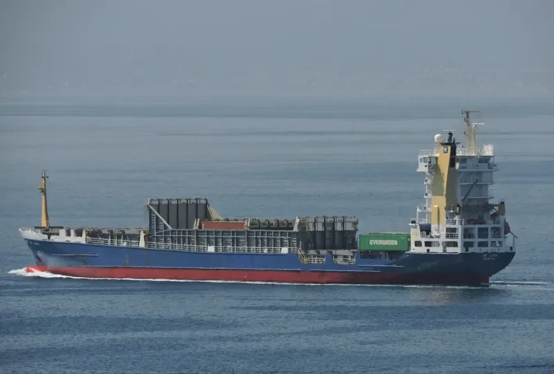 BF LUCIA Container Ship IMO 9138343 photo 3