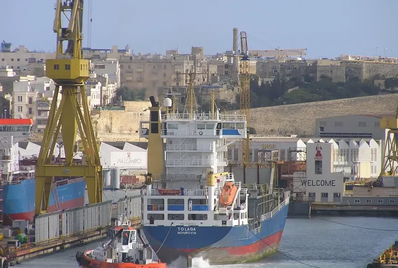BF LUCIA Container Ship IMO 9138343 photo 8