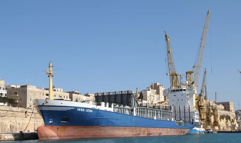 BF LUCIA Container Ship IMO 9138343 photo 9