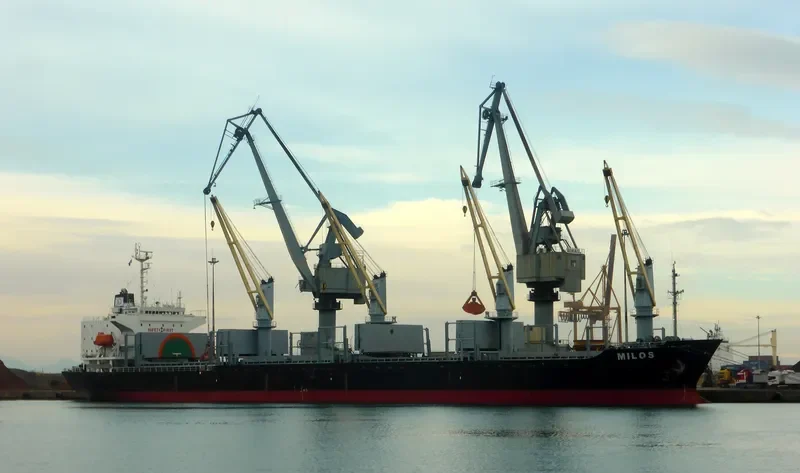 MILOS Bulk Carrier IMO 9138446 photo 5