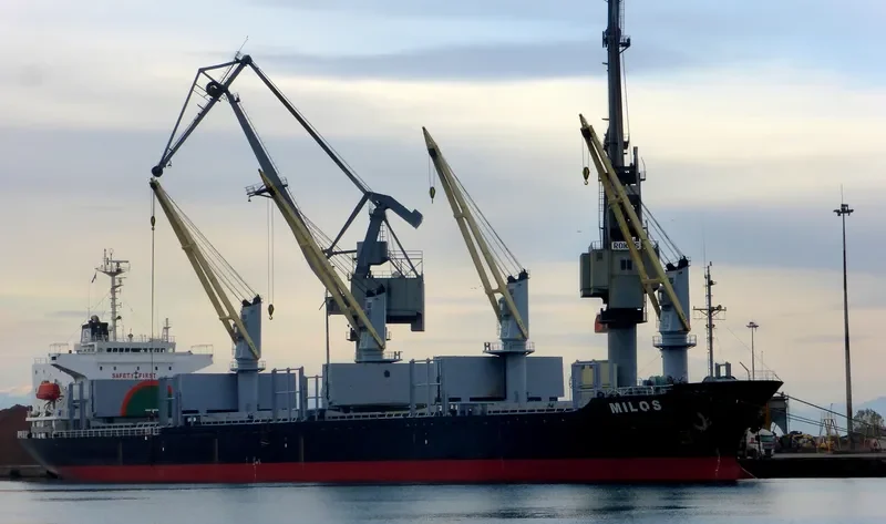 MILOS Bulk Carrier IMO 9138446 photo 7