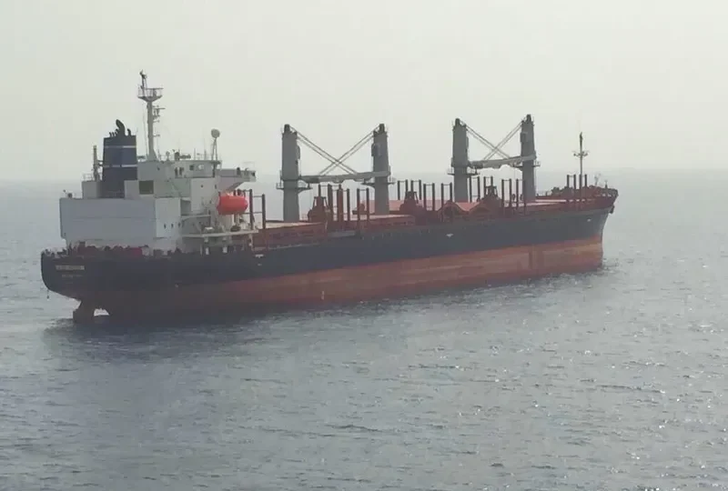 BLUE GATE Bulk Carrier IMO 9138458