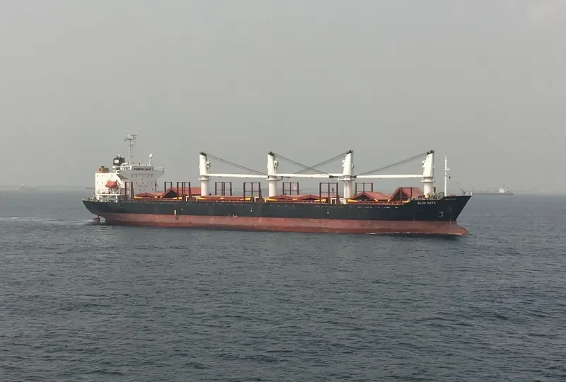 BLUE GATE Bulk Carrier IMO 9138458 photo 2