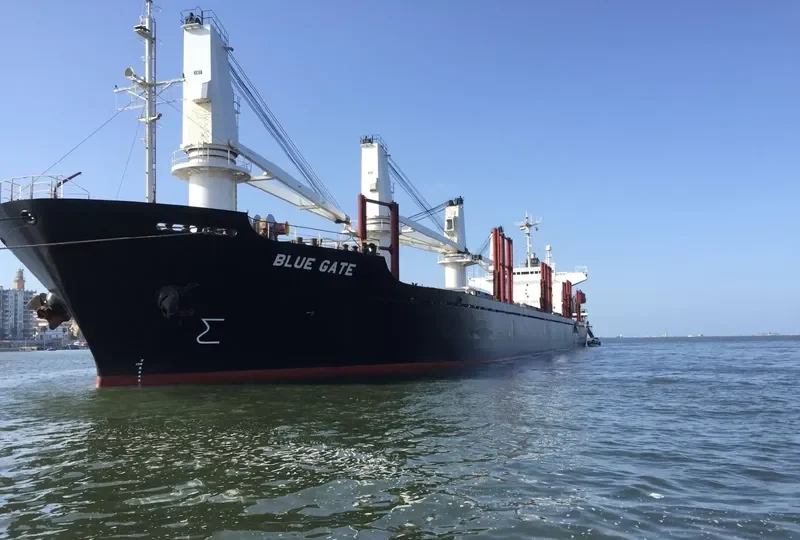BLUE GATE Bulk Carrier IMO 9138458 photo 3