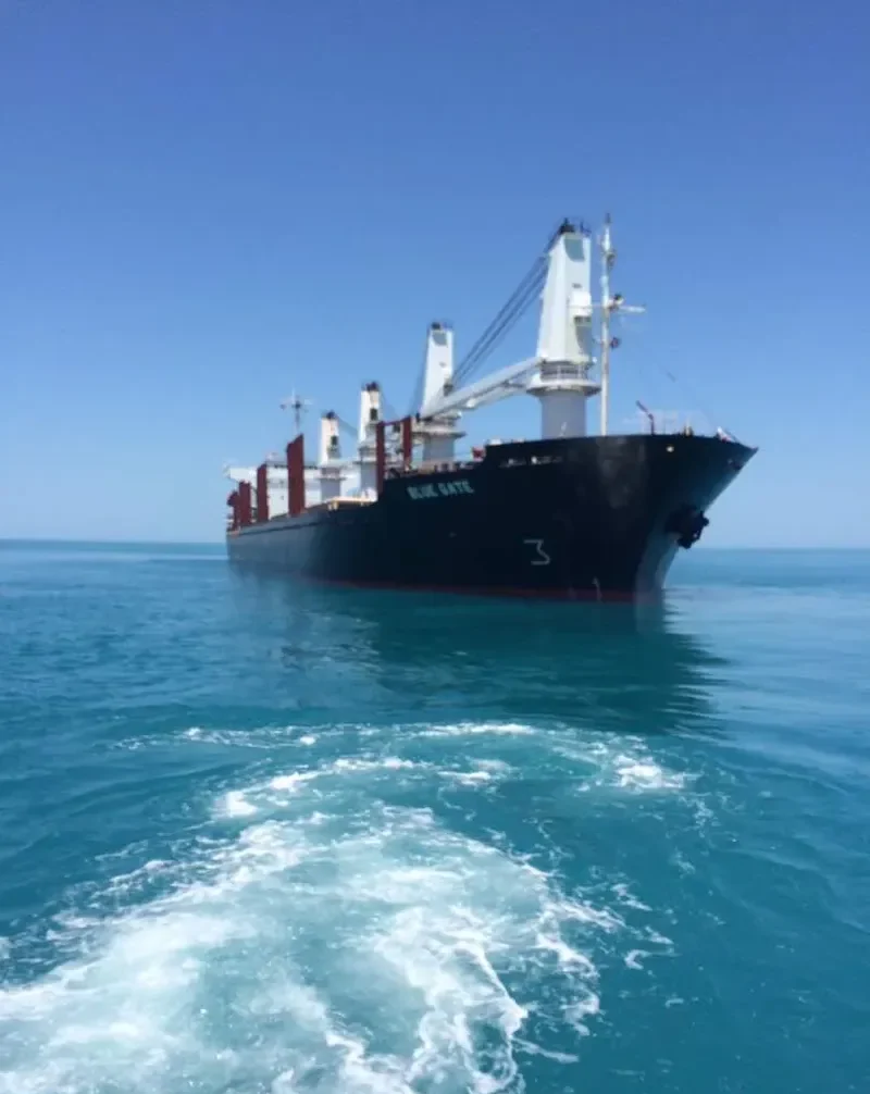 BLUE GATE Bulk Carrier IMO 9138458 photo 4