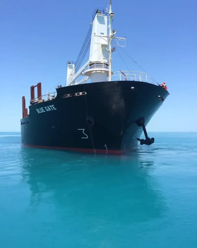 BLUE GATE Bulk Carrier IMO 9138458 photo 5