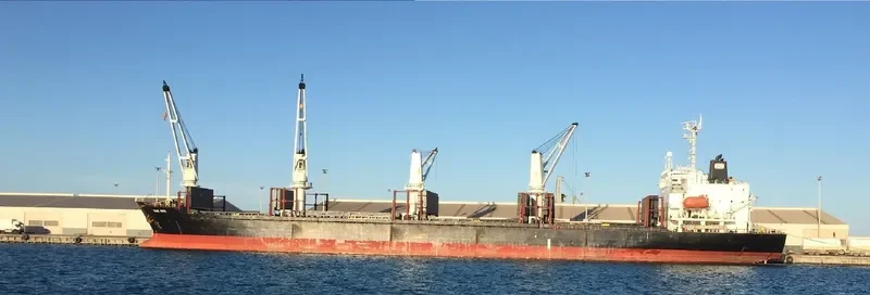 BLUE GATE Bulk Carrier IMO 9138458 photo 6