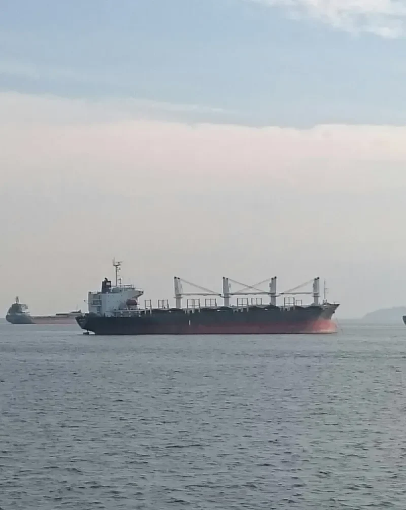 BLUE GATE Bulk Carrier IMO 9138458 photo 7