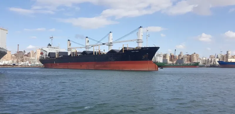 BLUE GATE Bulk Carrier IMO 9138458 photo 8