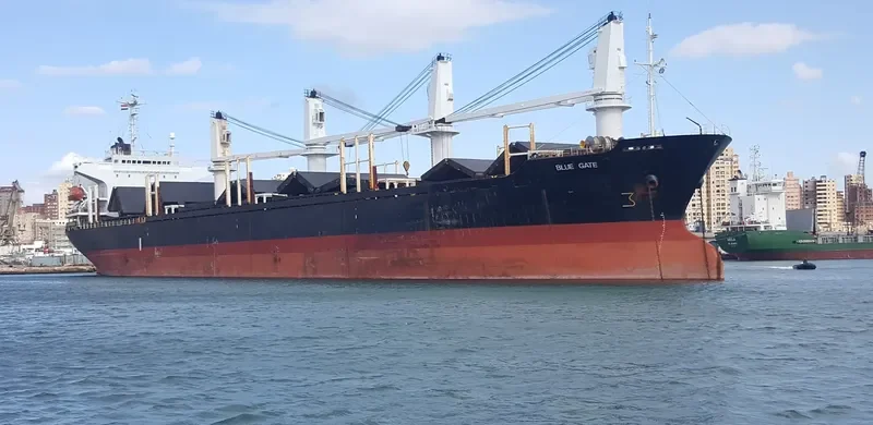 BLUE GATE Bulk Carrier IMO 9138458 photo 9