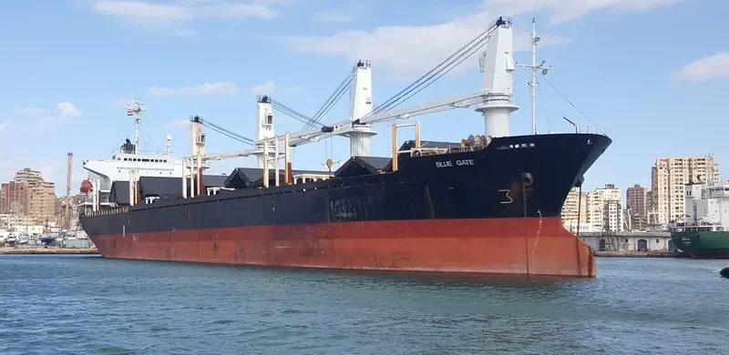 BLUE GATE Bulk Carrier IMO 9138458 photo 10