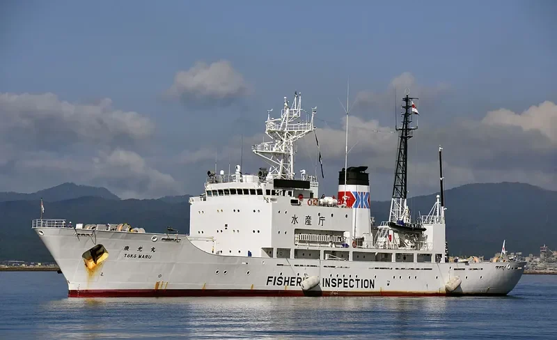 TOKO MARU General Cargo IMO 9138484