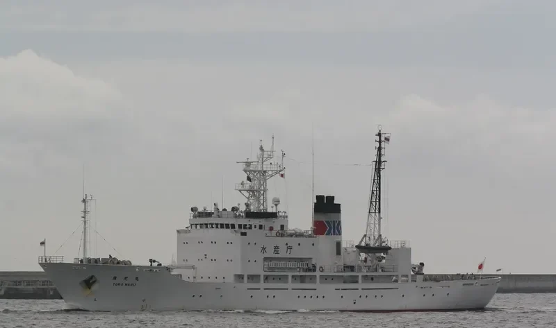 TOKO MARU General Cargo IMO 9138484 photo 2