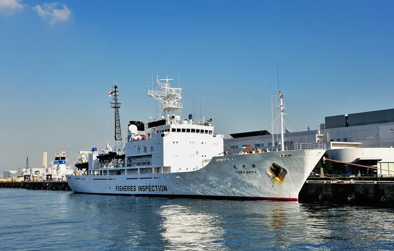 TOKO MARU General Cargo IMO 9138484 photo 4