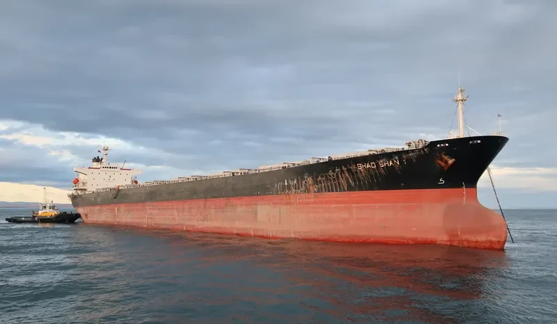 SHAO SHAN 1 Bulk Carrier IMO 9138496 photo 9