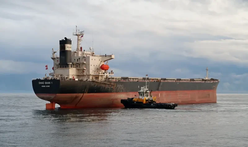 SHAO SHAN 1 Bulk Carrier IMO 9138496 photo 10