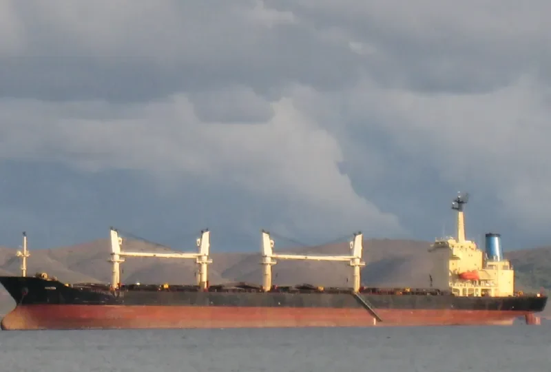 MAX Bulk Carrier IMO 9138616