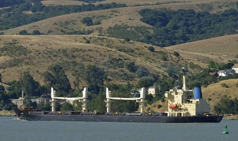 MAX Bulk Carrier IMO 9138616 photo 3