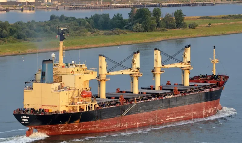 MAX Bulk Carrier IMO 9138616 photo 6