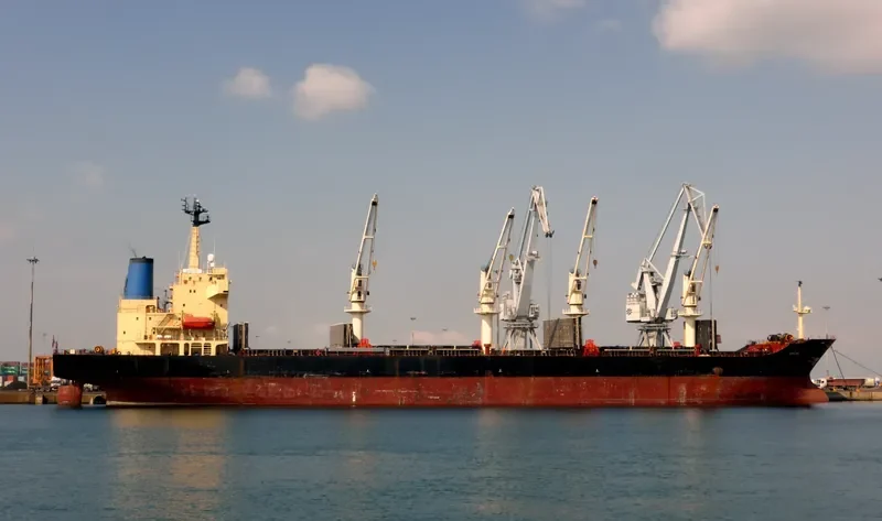 MAX Bulk Carrier IMO 9138616 photo 7
