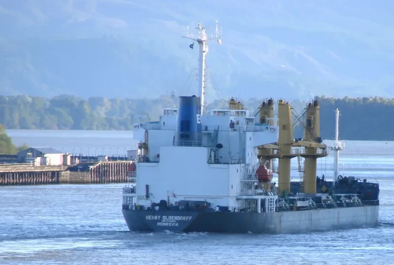 GOLDEN OCEAN Bulk Carrier IMO 9138628 photo 2