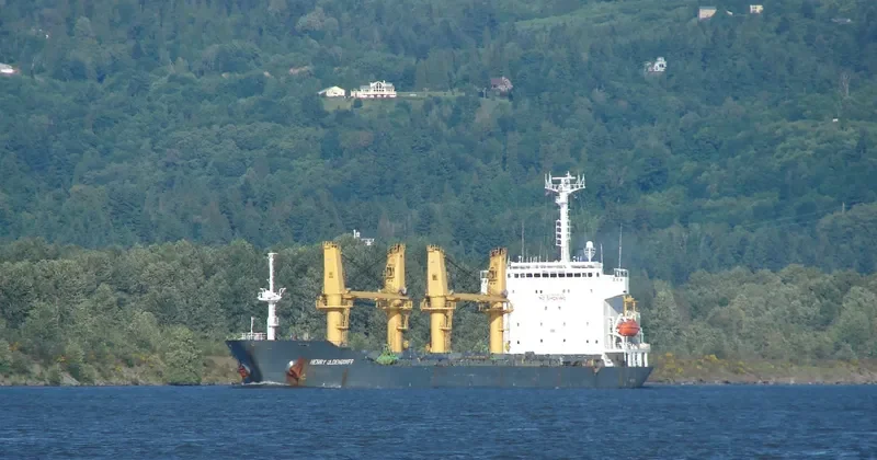 GOLDEN OCEAN Bulk Carrier IMO 9138628 photo 3