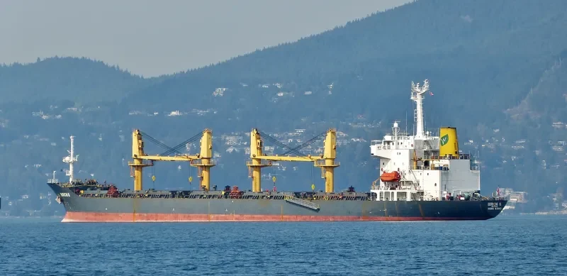 GOLDEN OCEAN Bulk Carrier IMO 9138628 photo 5