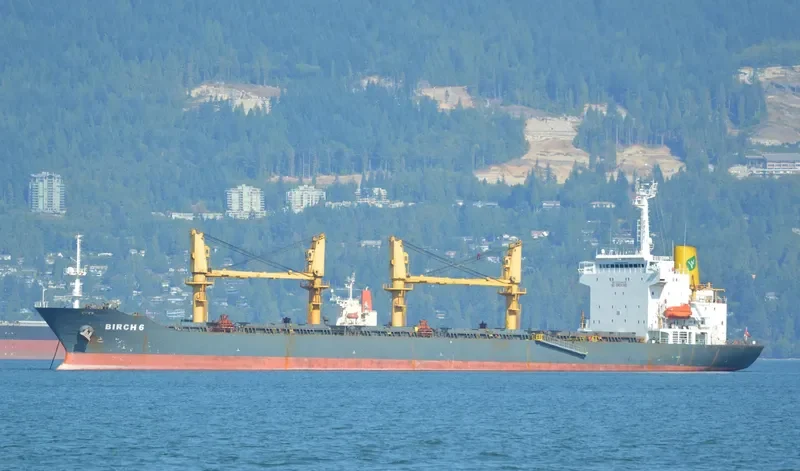 GOLDEN OCEAN Bulk Carrier IMO 9138628 photo 7