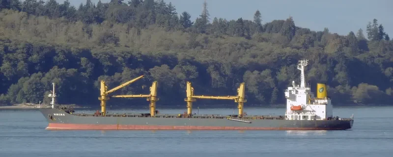 GOLDEN OCEAN Bulk Carrier IMO 9138628 photo 9