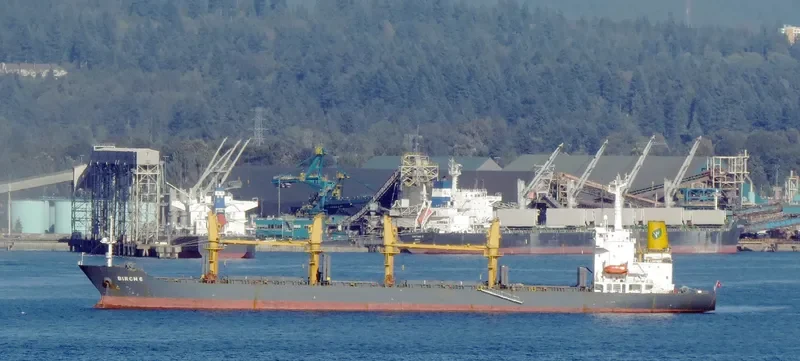 GOLDEN OCEAN Bulk Carrier IMO 9138628 photo 10