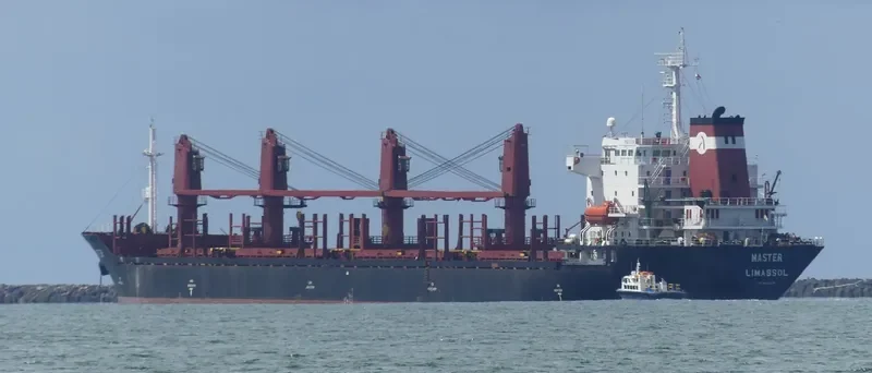 MASTER Bulk Carrier IMO 9138678