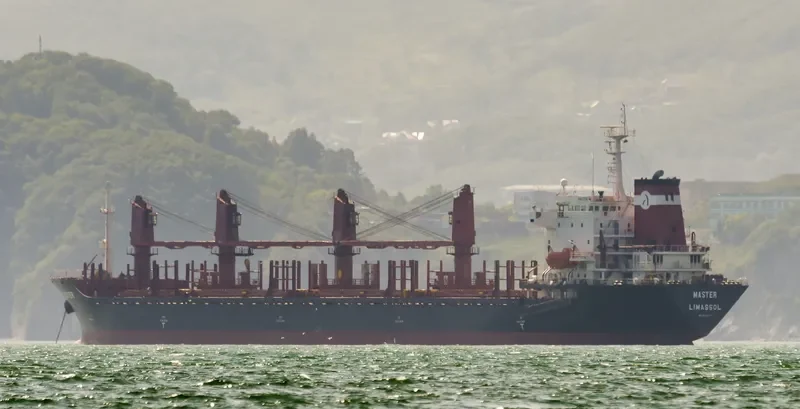 MASTER Bulk Carrier IMO 9138678 photo 2