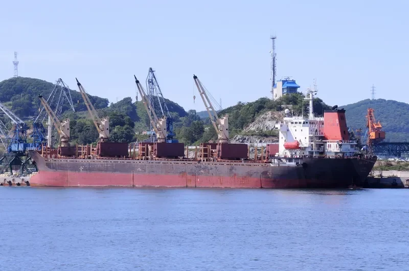 DECENT Bulk Carrier IMO 9138707
