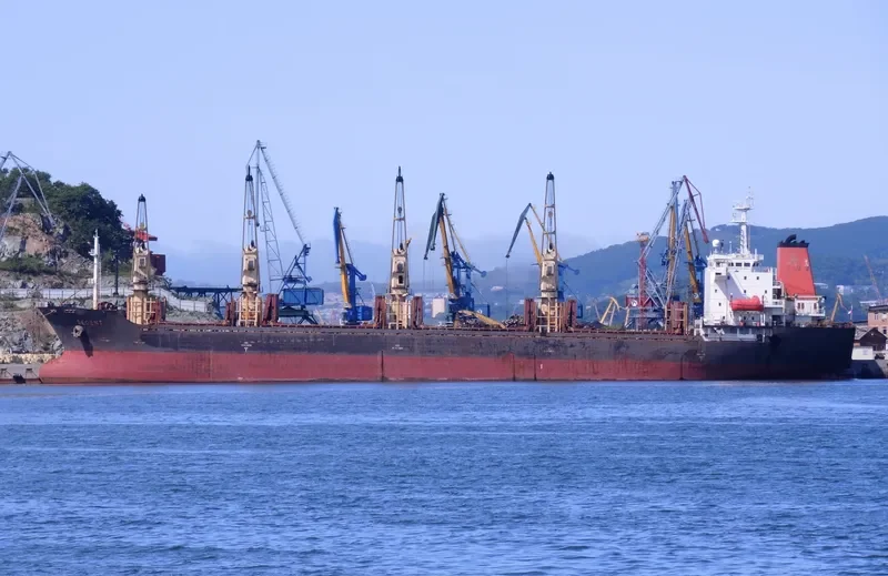 DECENT Bulk Carrier IMO 9138707 photo 2