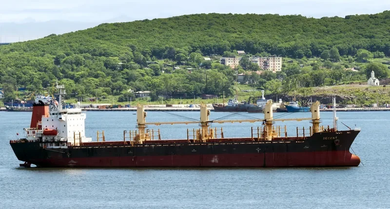 DECENT Bulk Carrier IMO 9138707 photo 4