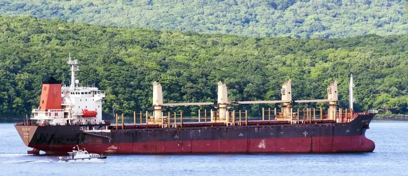 DECENT Bulk Carrier IMO 9138707 photo 6