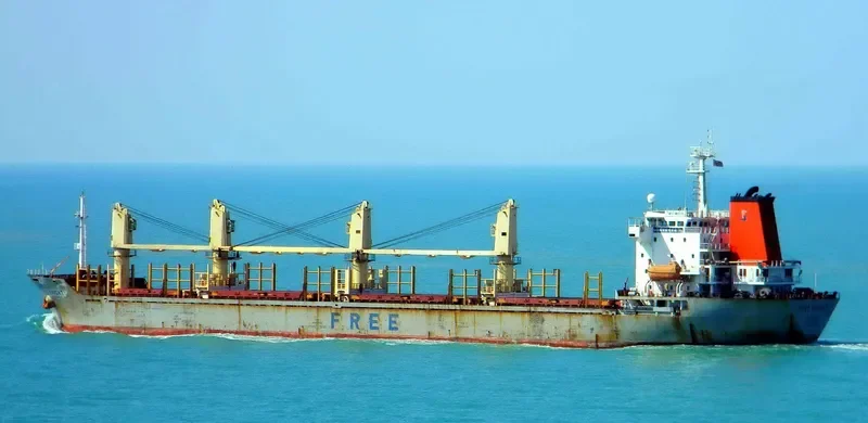 DECENT Bulk Carrier IMO 9138707 photo 8